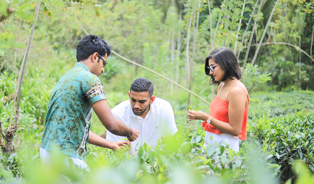 Immersive local beauty and culture